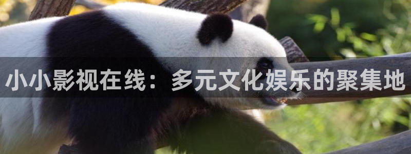 飘雪影视热播电影：小小影视在线：多元文化娱乐的聚集地