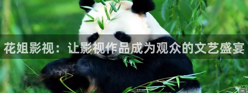 飘雪影院在线观看完整版免费高清：花姐影视：让影视作品成为观众的文艺盛宴