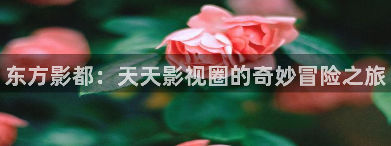 飘雪影院热门电视剧有哪些：东方影都：天天影视圈的奇妙冒险之旅